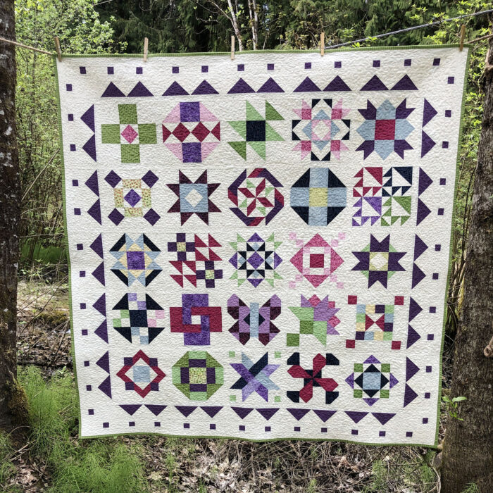 Sewcialites 2 Sampler Quilt